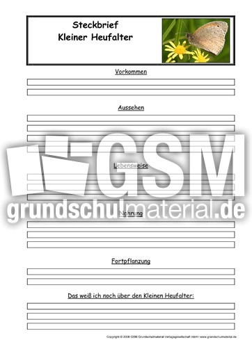 Kleiner-Heufalter-Steckbriefvorlage.pdf